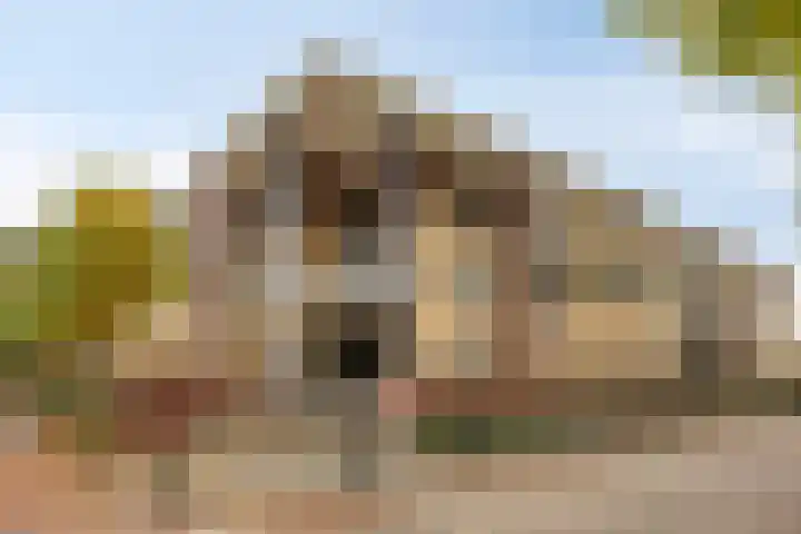Dorpsveld 29 Berlicum thumbnail 24