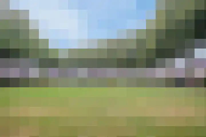 Dorpsveld 29 Berlicum thumbnail 25