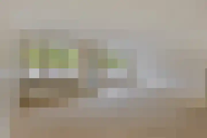 Dorpsveld 29 Berlicum thumbnail 6
