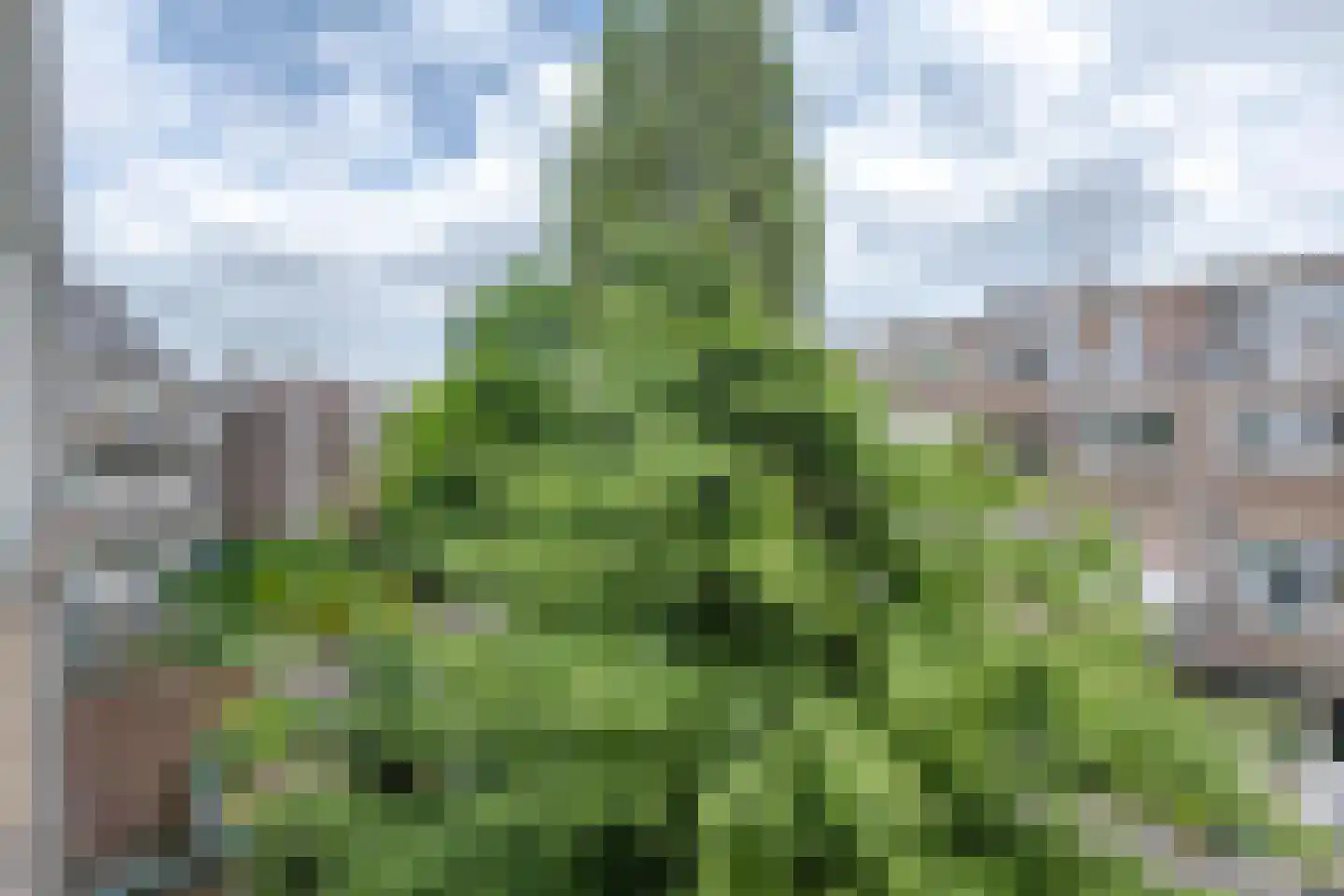 Dorpsweg 10 C Rotterdam thumbnail 18