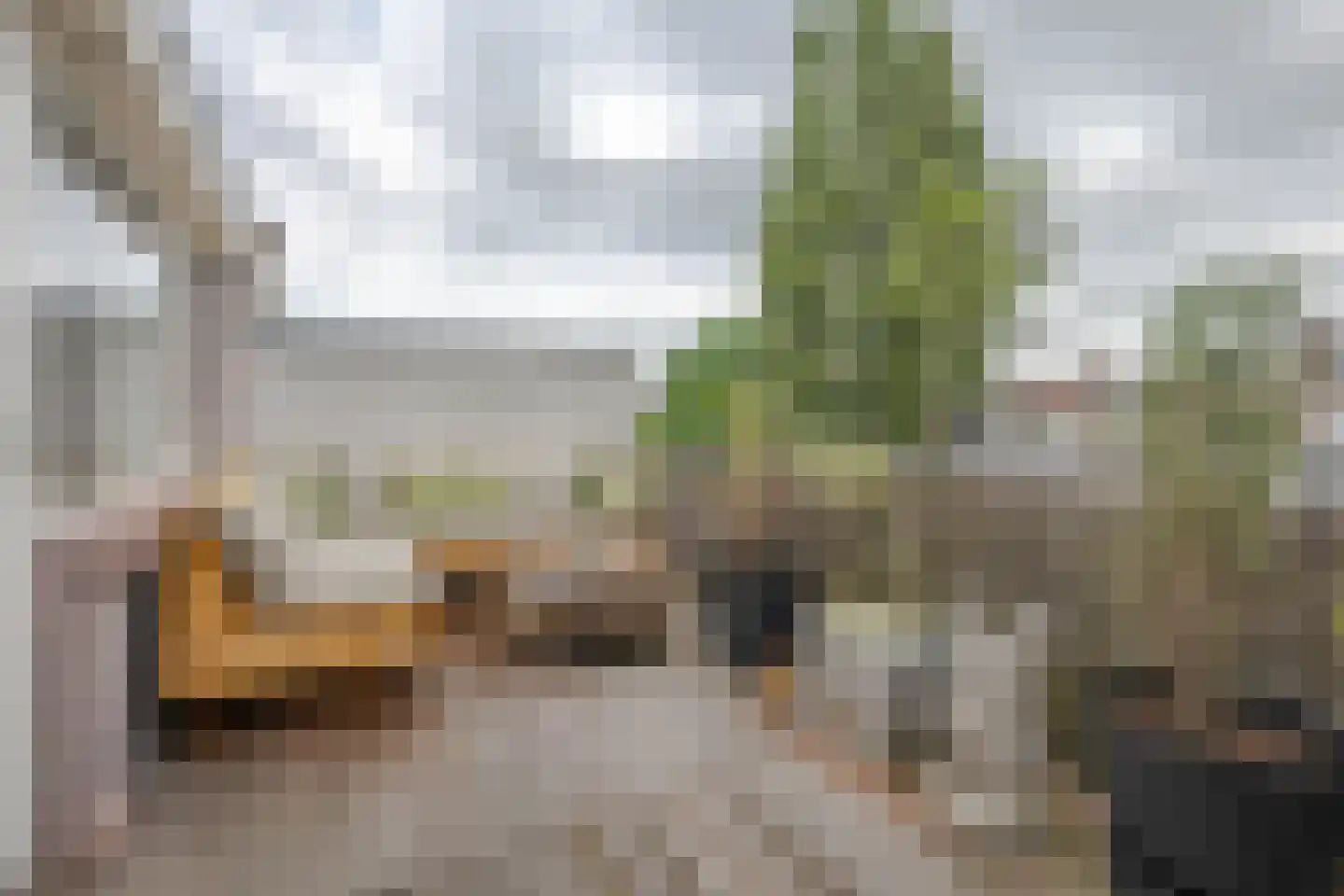 Dorpsweg 10 C Rotterdam thumbnail 31