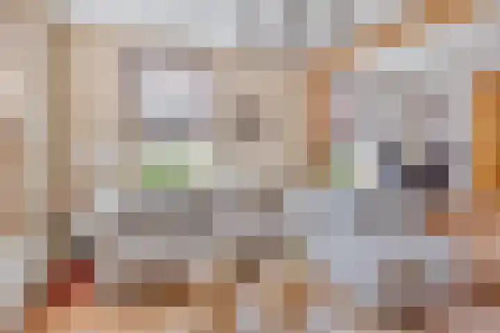 Dorpsweg 10 Hoogblokland thumbnail 11