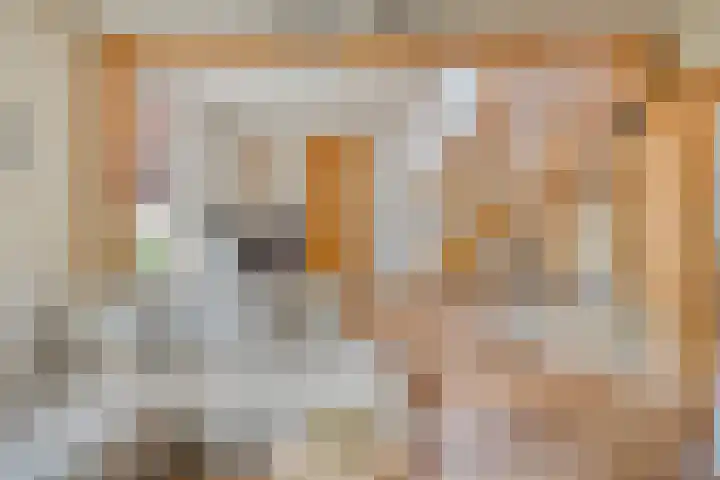 Dorpsweg 10 Hoogblokland thumbnail 12
