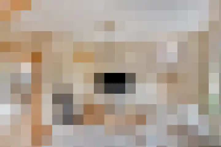 Dorpsweg 10 Hoogblokland thumbnail 13