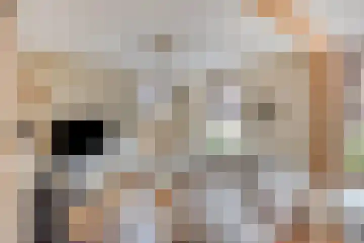 Dorpsweg 10 Hoogblokland thumbnail 14