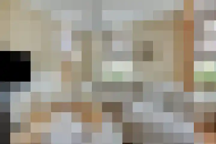 Dorpsweg 10 Hoogblokland thumbnail 15