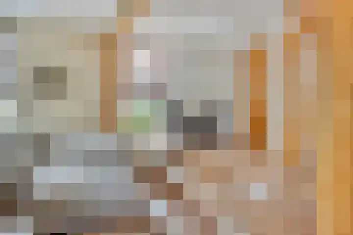Dorpsweg 10 Hoogblokland thumbnail 16