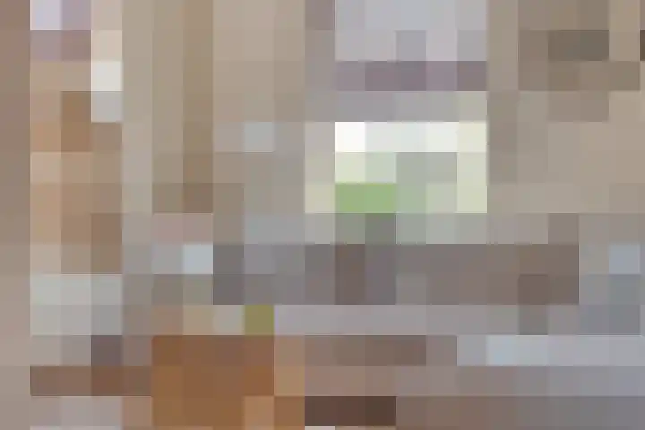 Dorpsweg 10 Hoogblokland thumbnail 17