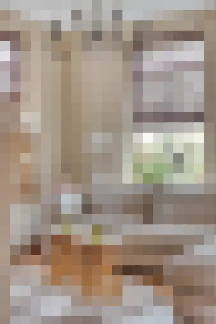 Dorpsweg 10 Hoogblokland thumbnail 18