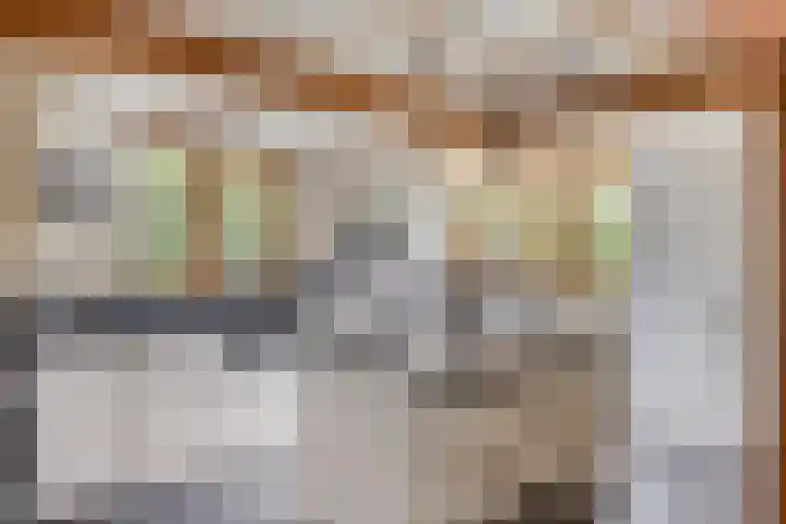Dorpsweg 10 Hoogblokland thumbnail 26