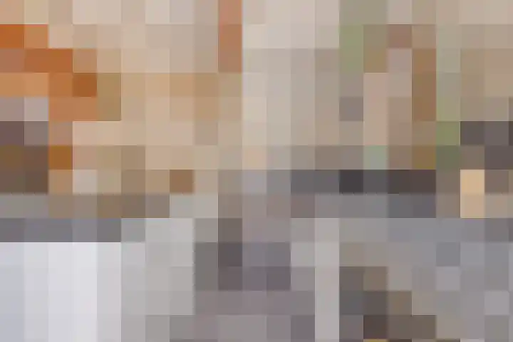 Dorpsweg 10 Hoogblokland thumbnail 28