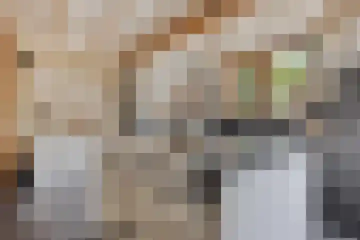 Dorpsweg 10 Hoogblokland thumbnail 29