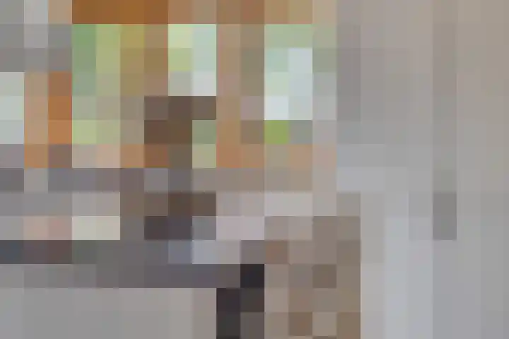 Dorpsweg 10 Hoogblokland thumbnail 33