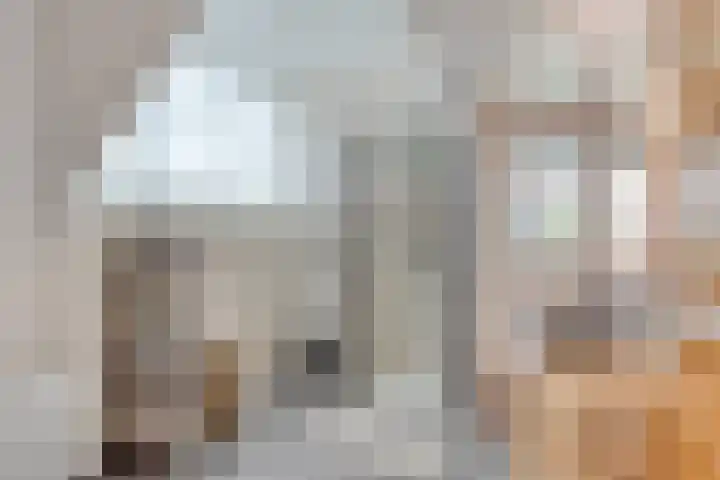Dorpsweg 10 Hoogblokland thumbnail 37