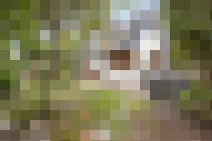 Dorpsweg 10 Hoogblokland thumbnail 4