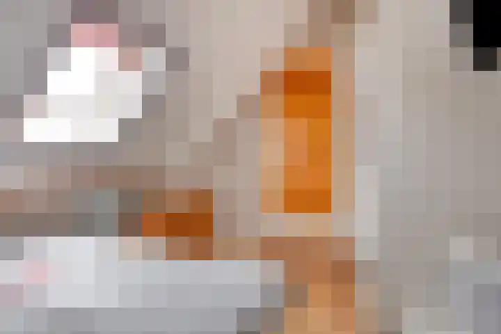 Dorpsweg 10 Hoogblokland thumbnail 41