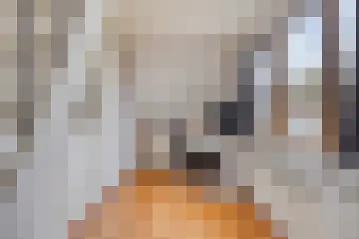 Dorpsweg 10 Hoogblokland thumbnail 43