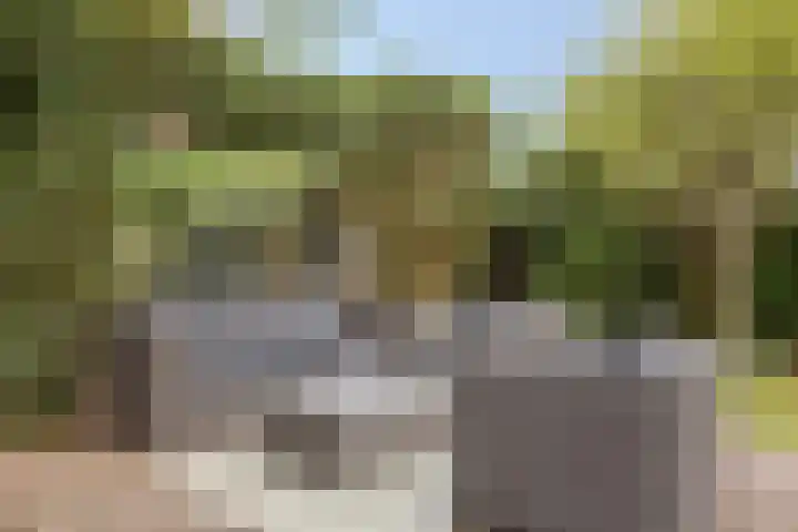 Dorpsweg 10 Hoogblokland thumbnail 44