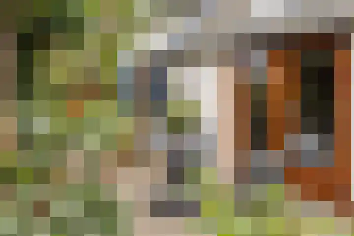 Dorpsweg 10 Hoogblokland thumbnail 45