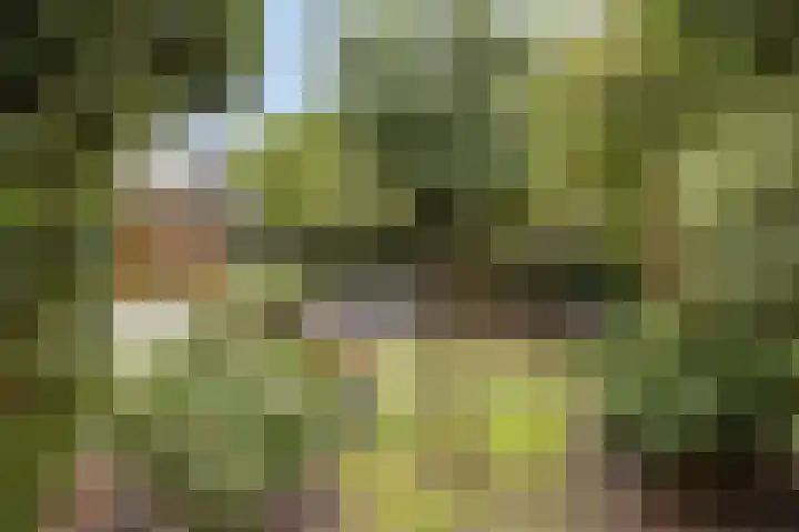 Dorpsweg 10 Hoogblokland thumbnail 46