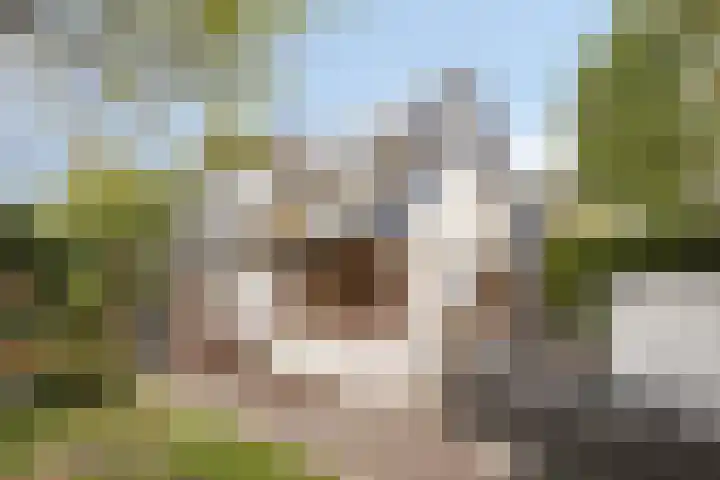 Dorpsweg 10 Hoogblokland thumbnail 48