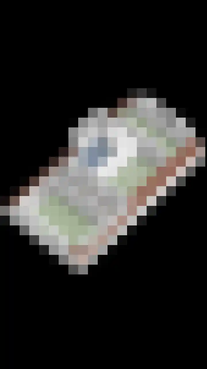 Dorpsweg 10 Hoogblokland thumbnail 57