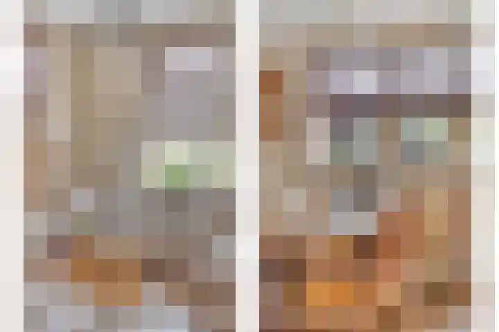 Dorpsweg 10 Hoogblokland thumbnail 6