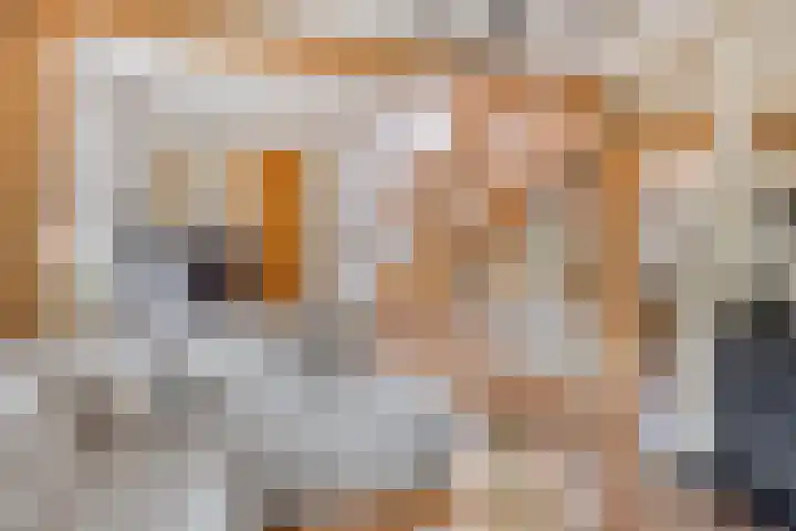 Dorpsweg 10 Hoogblokland thumbnail 8
