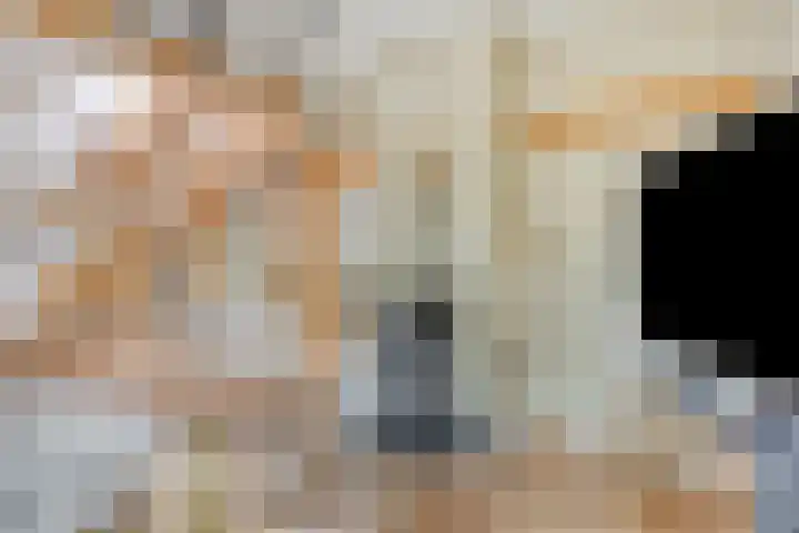 Dorpsweg 10 Hoogblokland thumbnail 9