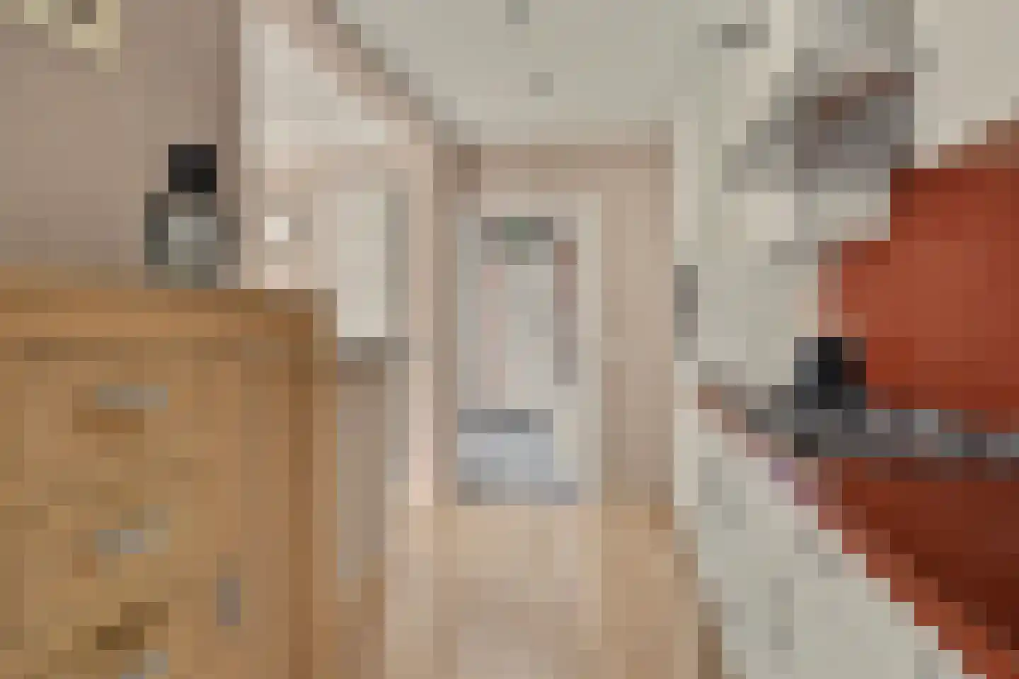 Dorpsweg 10 Reeuwijk thumbnail 15