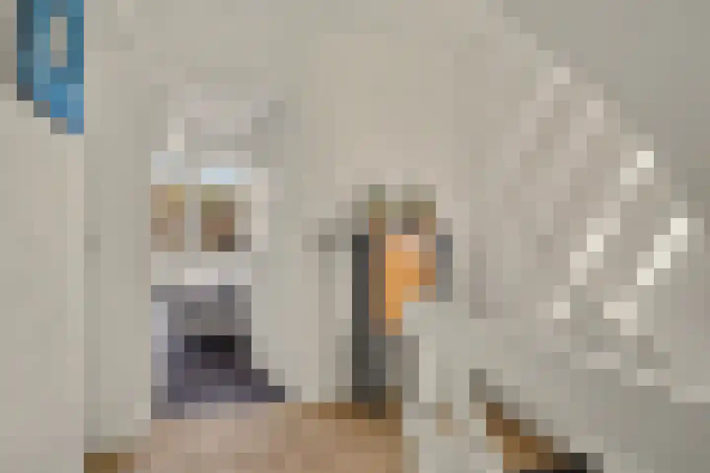Dorpsweg 10 Reeuwijk thumbnail 19
