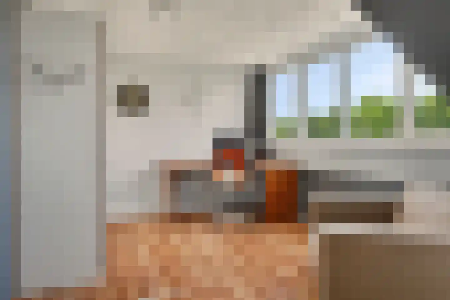 Dorpsweg 10 Reeuwijk thumbnail 31