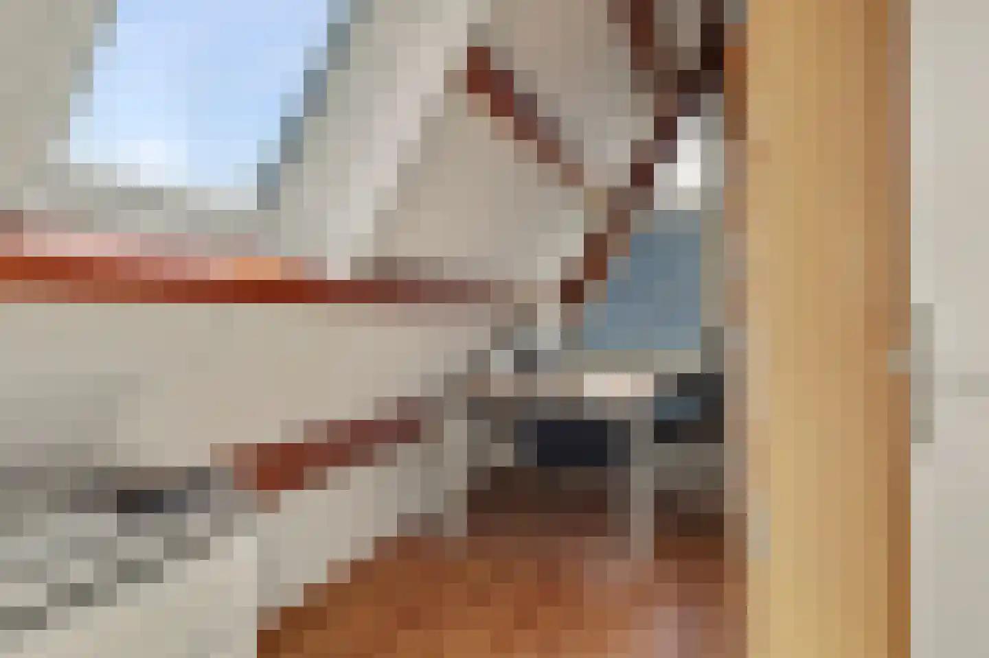 Dorpsweg 10 Reeuwijk thumbnail 34