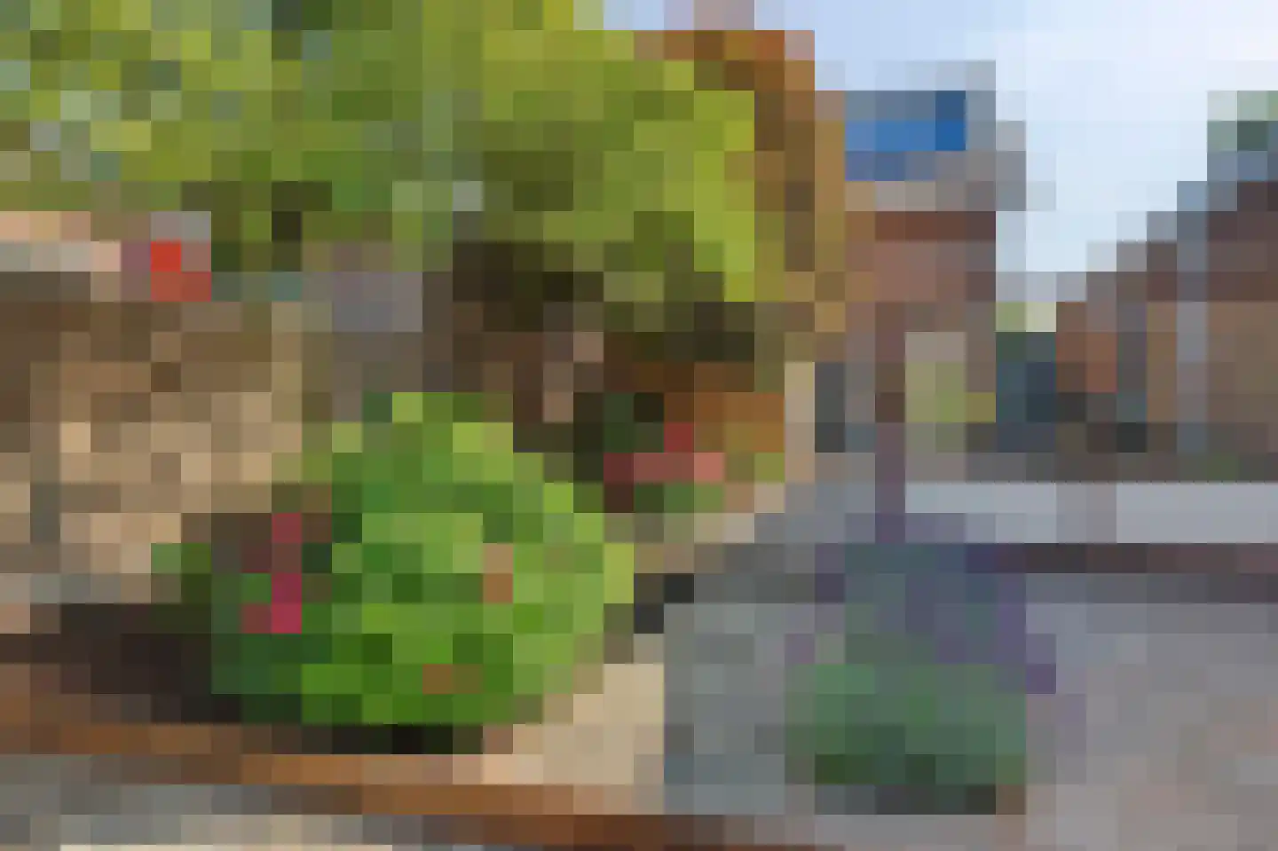 Dorpsweg 10 Reeuwijk thumbnail 38