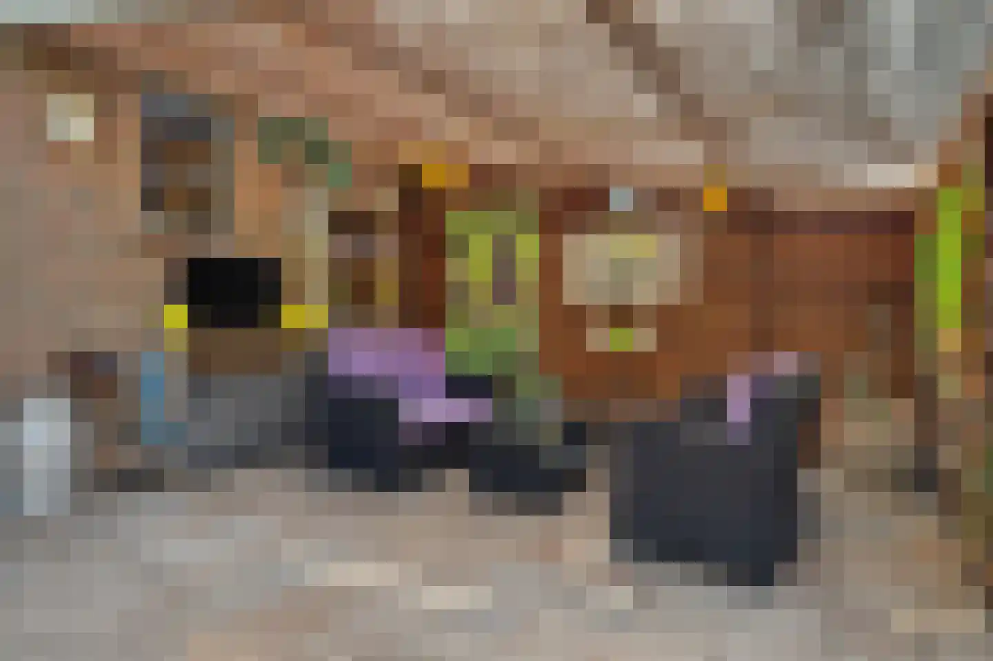 Dorpsweg 10 Reeuwijk thumbnail 39
