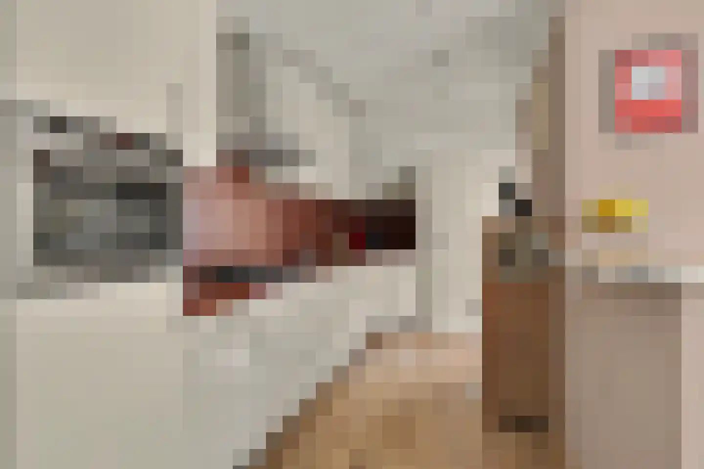 Dorpsweg 10 Reeuwijk thumbnail 5