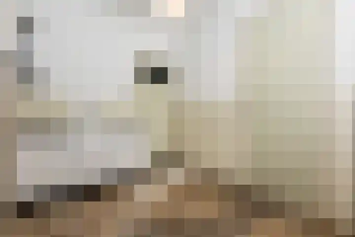Dorpsweg 101 De Heen thumbnail 19