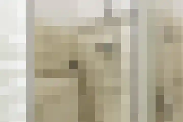 Dorpsweg 101 De Heen thumbnail 23