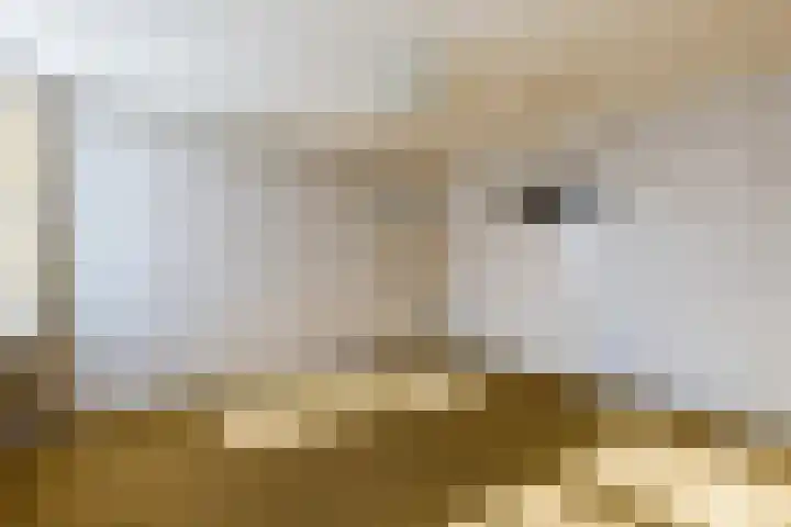 Dorpsweg 101 De Heen thumbnail 32