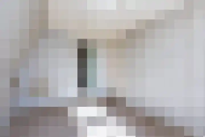 Dorpsweg 101 De Heen thumbnail 34