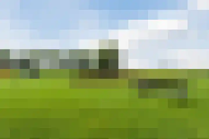 Dorpsweg 101 De Heen thumbnail 45