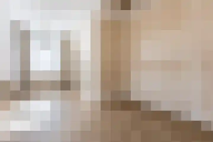 Dorpsweg 101 De Heen thumbnail 5