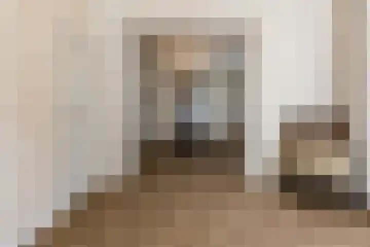 Dorpsweg 101 De Heen thumbnail 8