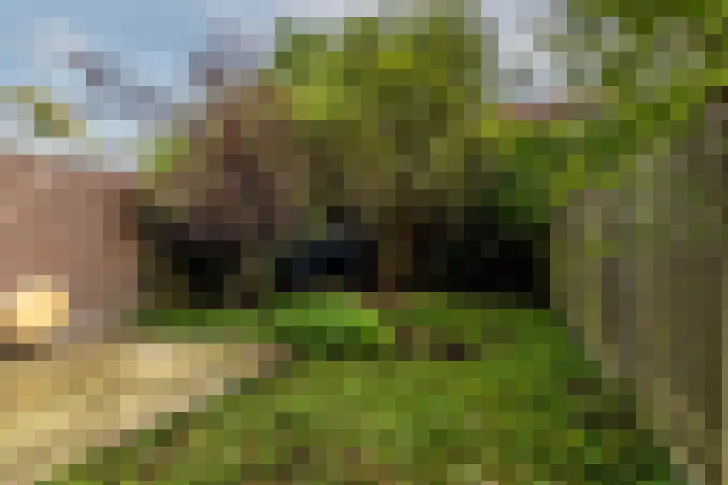 Dorpsweg 102 B Rotterdam thumbnail 24