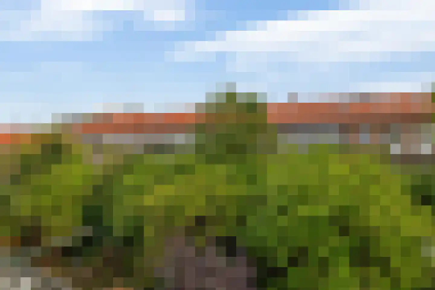 Dorpsweg 102 C Rotterdam thumbnail 19