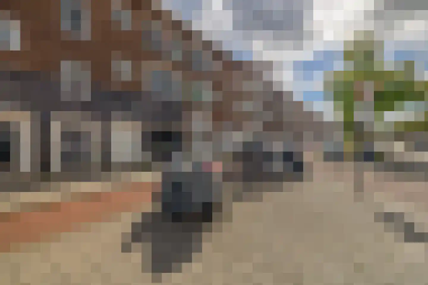 Dorpsweg 102 C Rotterdam thumbnail 28