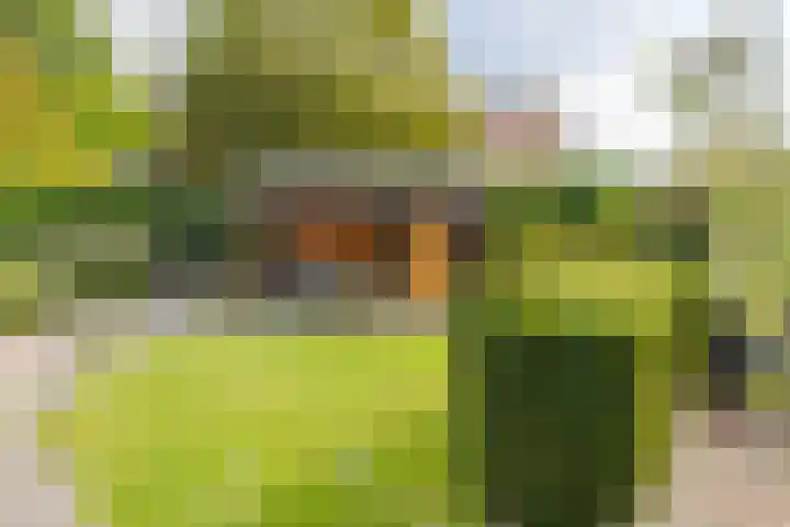 Dorpsweg 102 Hoogblokland thumbnail 13