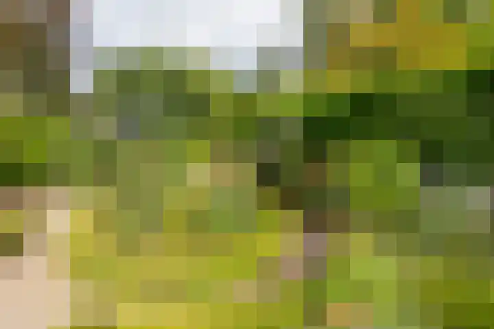Dorpsweg 102 Hoogblokland thumbnail 14