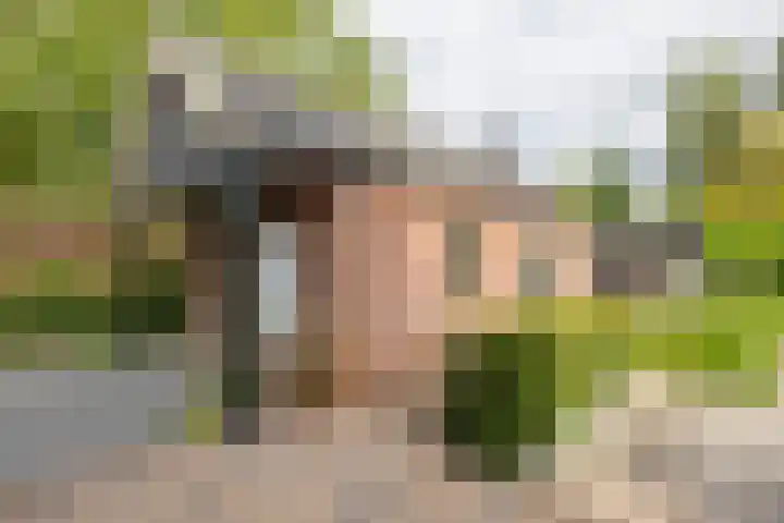 Dorpsweg 102 Hoogblokland thumbnail 17