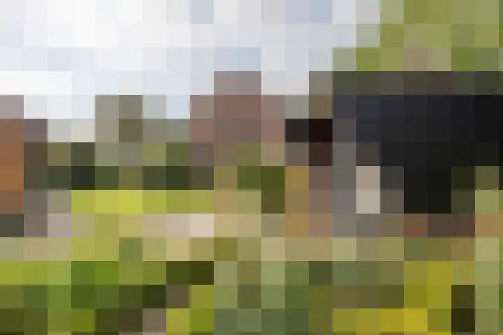 Dorpsweg 102 Hoogblokland thumbnail 18